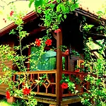 Baraka House * Çıralı