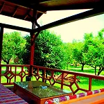 Séjour chez l'habitant Baraka House Çıralı