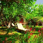 Baraka House Séjour chez l'habitant Çıralı