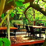Baraka House Çıralı
