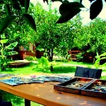 Baraka House