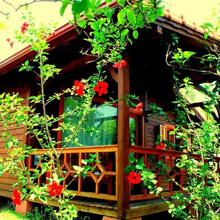Baraka House * Çıralı