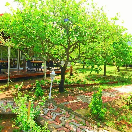 Ubytování v soukromí Baraka House