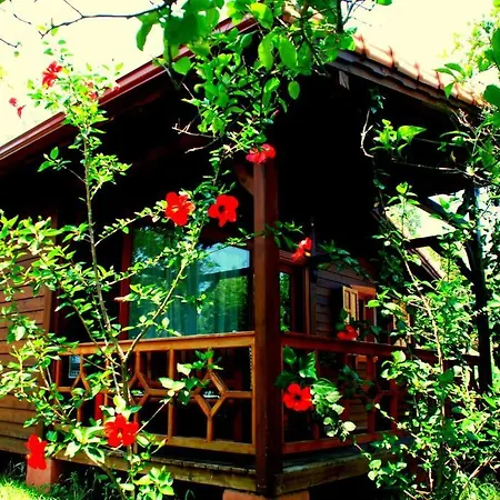 Ubytování v soukromí Baraka House