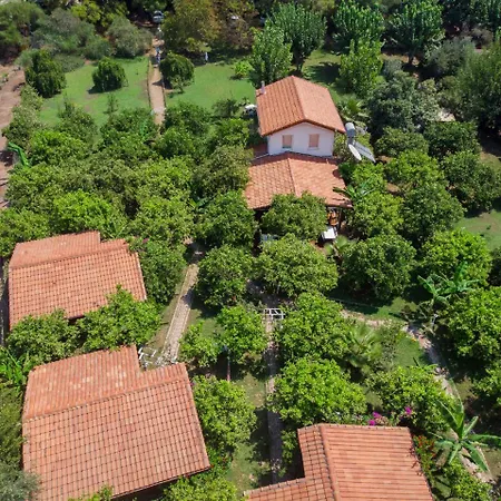 Ubytování v soukromí Baraka House Çıralı