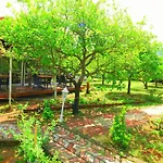 Проживание в семье Baraka House