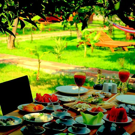 בית אירוח Baraka House *