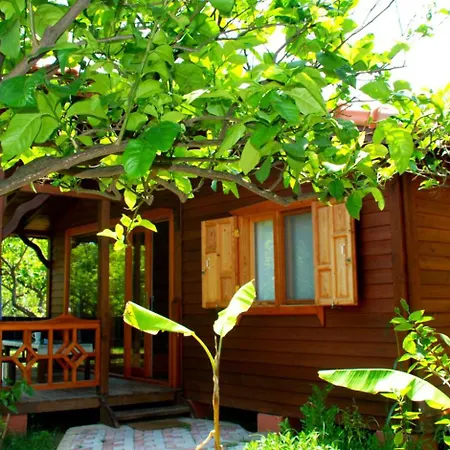 Baraka House *