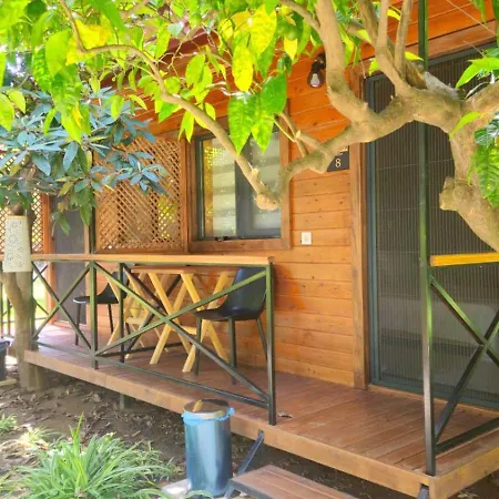 Baraka House בית אירוח Çıralı