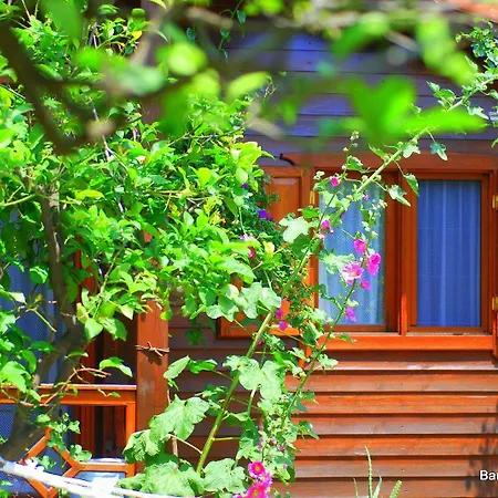 Проживание в семье Baraka House