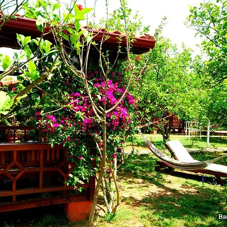 Baraka House בית אירוח