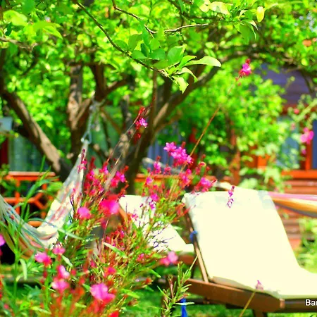 Проживание в семье Baraka House Чирали