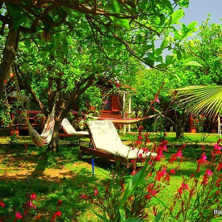 Baraka House בית אירוח Çıralı