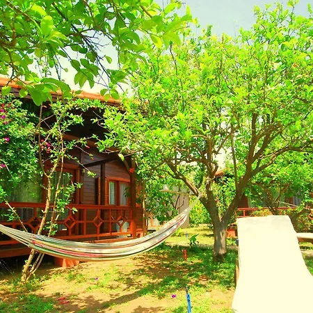 Проживание в семье Baraka House *