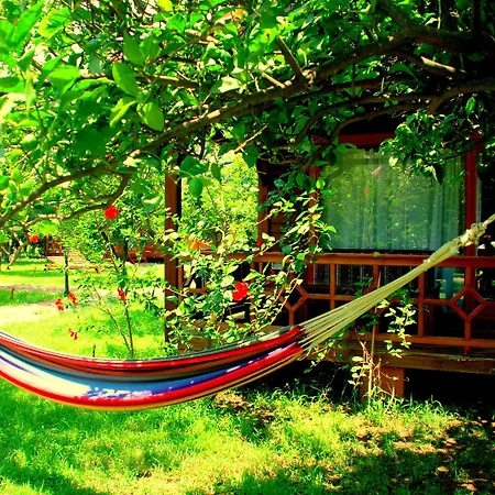 Проживание в семье Baraka House Чирали