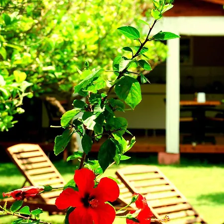 Baraka House Çıralı