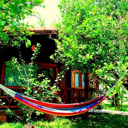 בית אירוח Baraka House