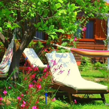 בית אירוח Baraka House