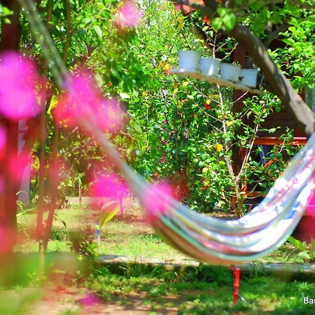 Проживание в семье Baraka House *