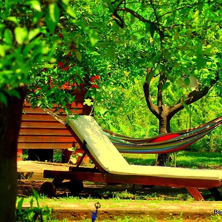 Baraka House בית אירוח Çıralı