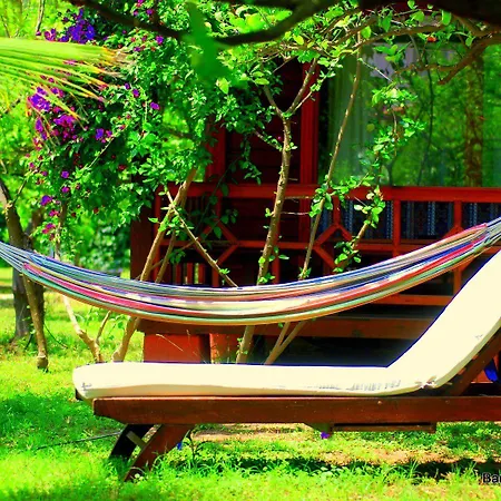 בית אירוח Baraka House Çıralı