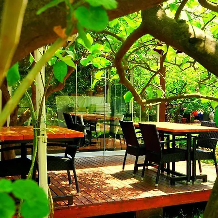 Baraka House Çıralı