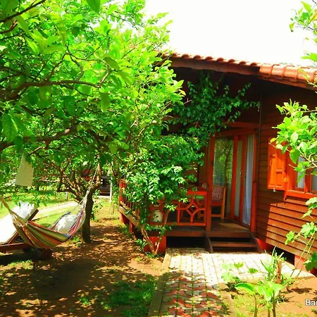 Baraka House בית אירוח *