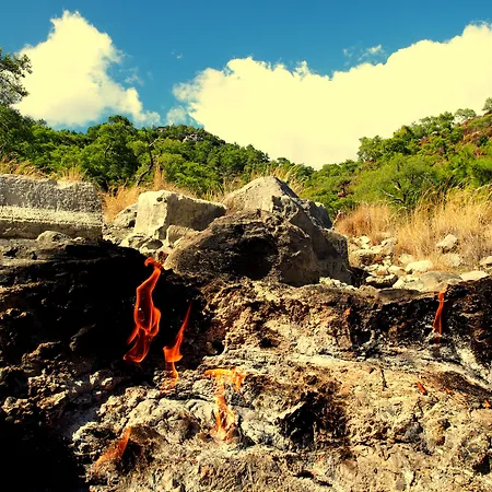 בית אירוח Baraka House