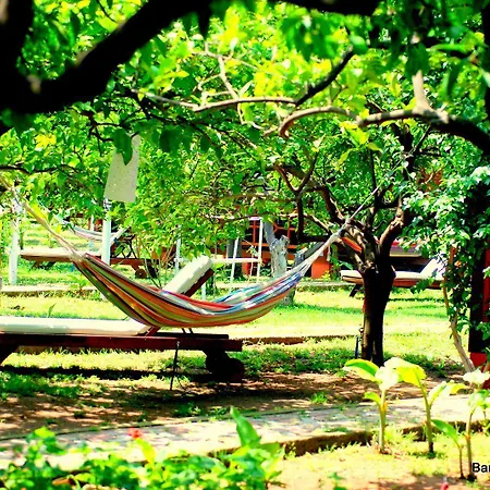 Baraka House Проживание в семье Чирали