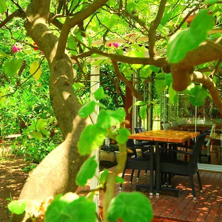 Baraka House Проживание в семье