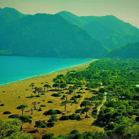 בית אירוח Baraka House Çıralı