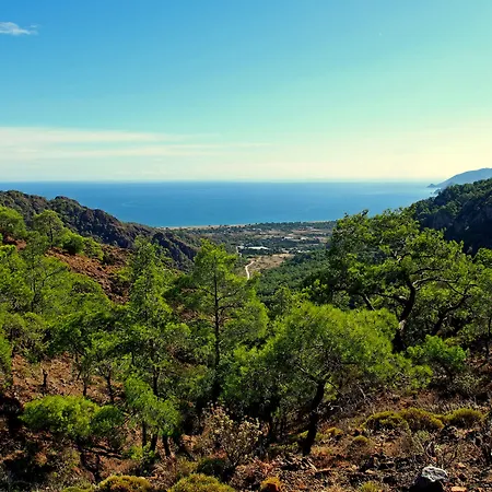 Проживание в семье Baraka House *