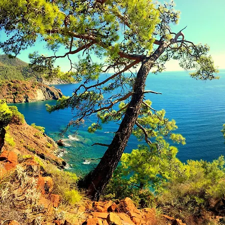 בית אירוח Baraka House *