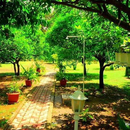 Baraka House Проживание в семье