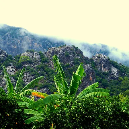 Baraka House * Чирали