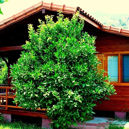 Baraka House בית אירוח