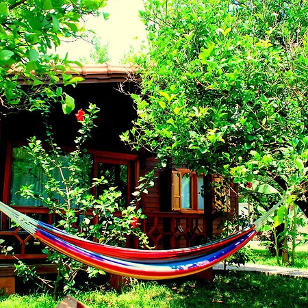 Gasthof Baraka House Çıralı