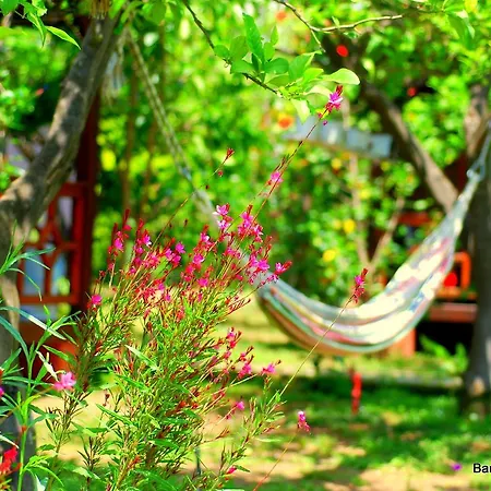 Baraka House בית אירוח Çıralı