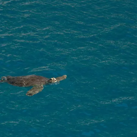 בית אירוח Baraka House *