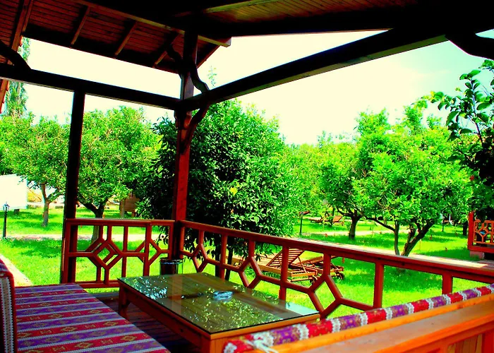 홈스테이 Baraka House Çıralı