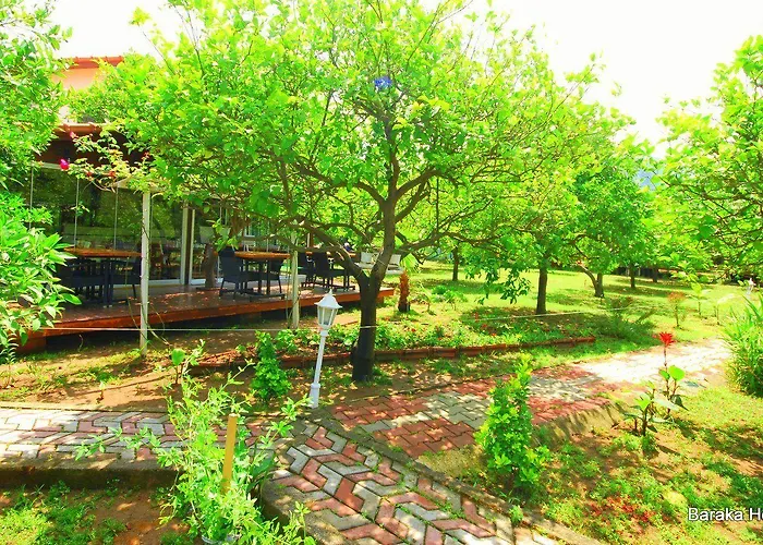 Проживание в семье Baraka House