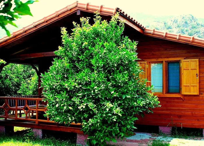 Baraka House Gazde/Camere de închiriat