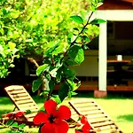 Baraka House Çıralı