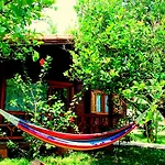 Séjour chez l'habitant Baraka House