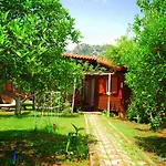 Baraka House * Çıralı