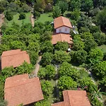 Séjour chez l'habitant Baraka House Çıralı