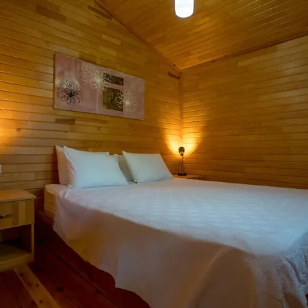 Baraka House Accommodatie bij particulieren Çıralı